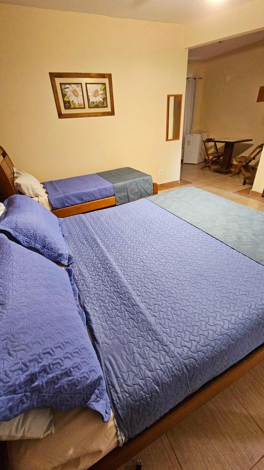 Hotel Pousada Bambuzal サーナ エクステリア 写真